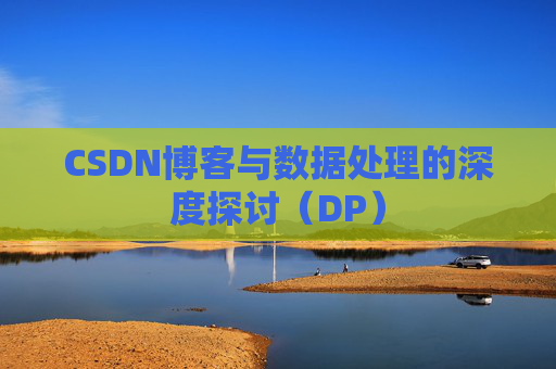CSDN博客与数据处理的深度探讨（DP）